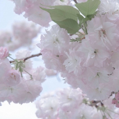 Furry原创作品欣赏兽圈群